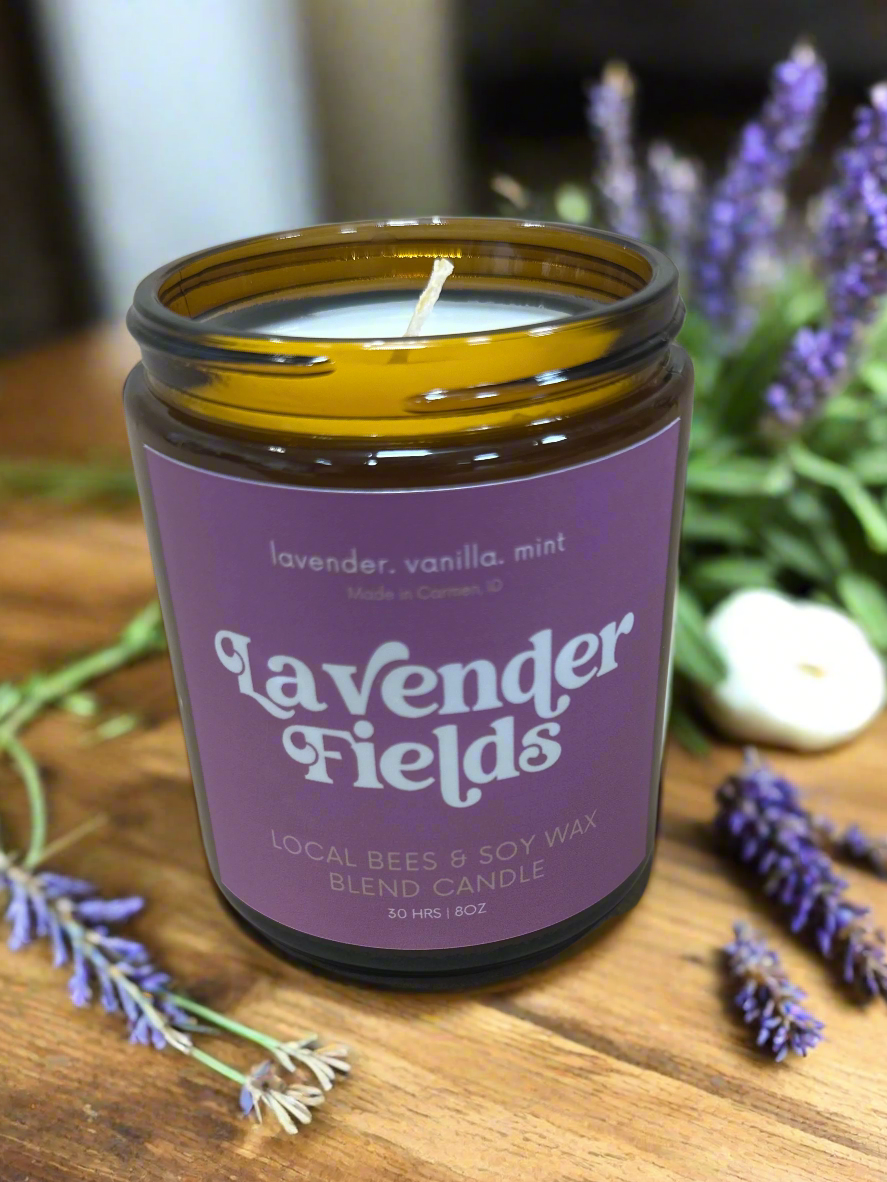 Lavender Fields