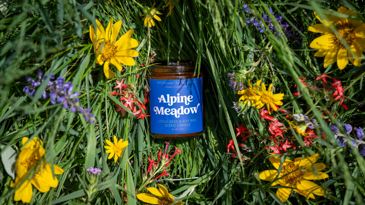 Alpine Meadow