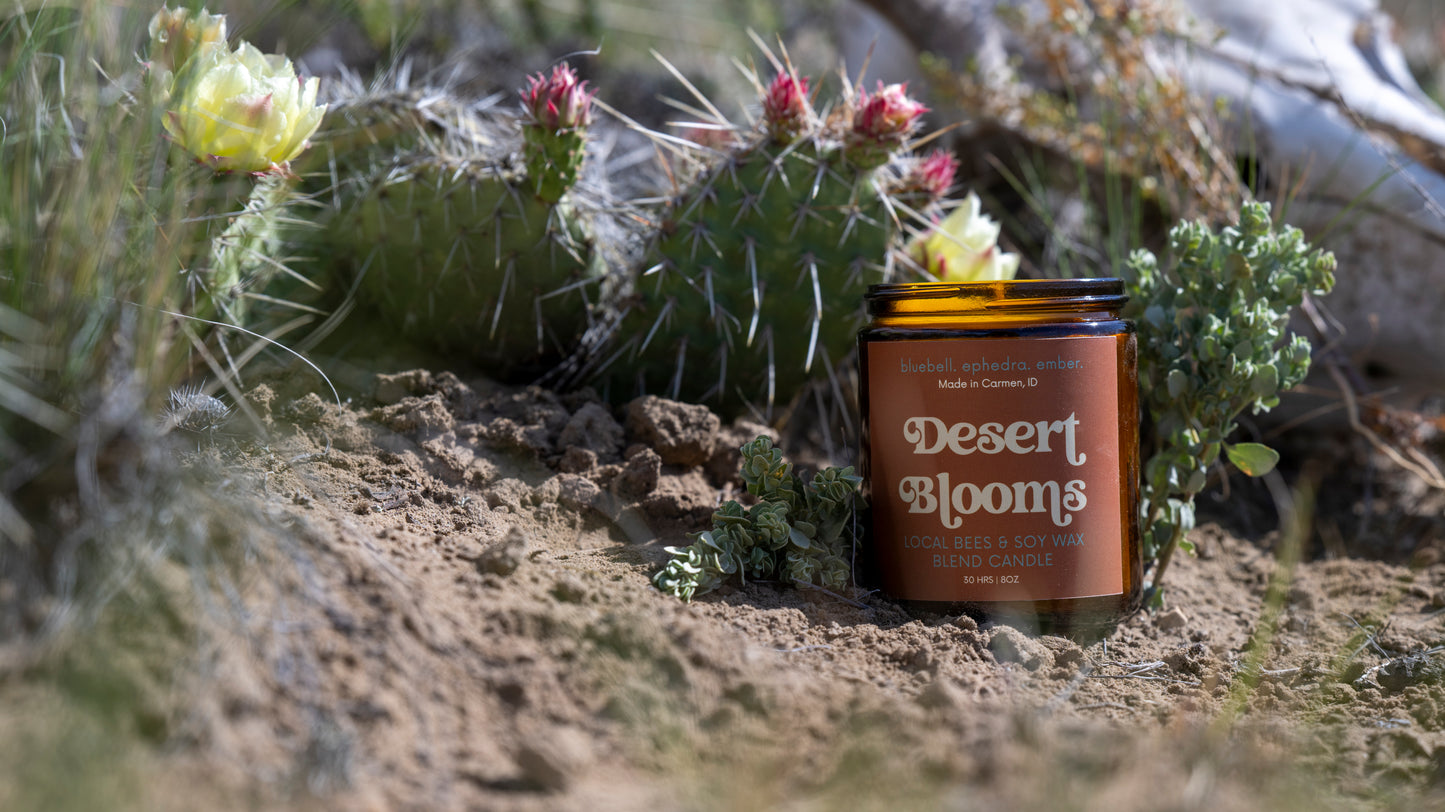 Desert Blooms