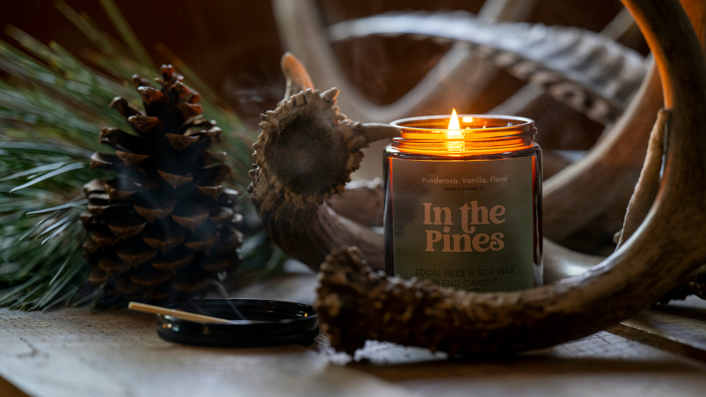 In the Pines