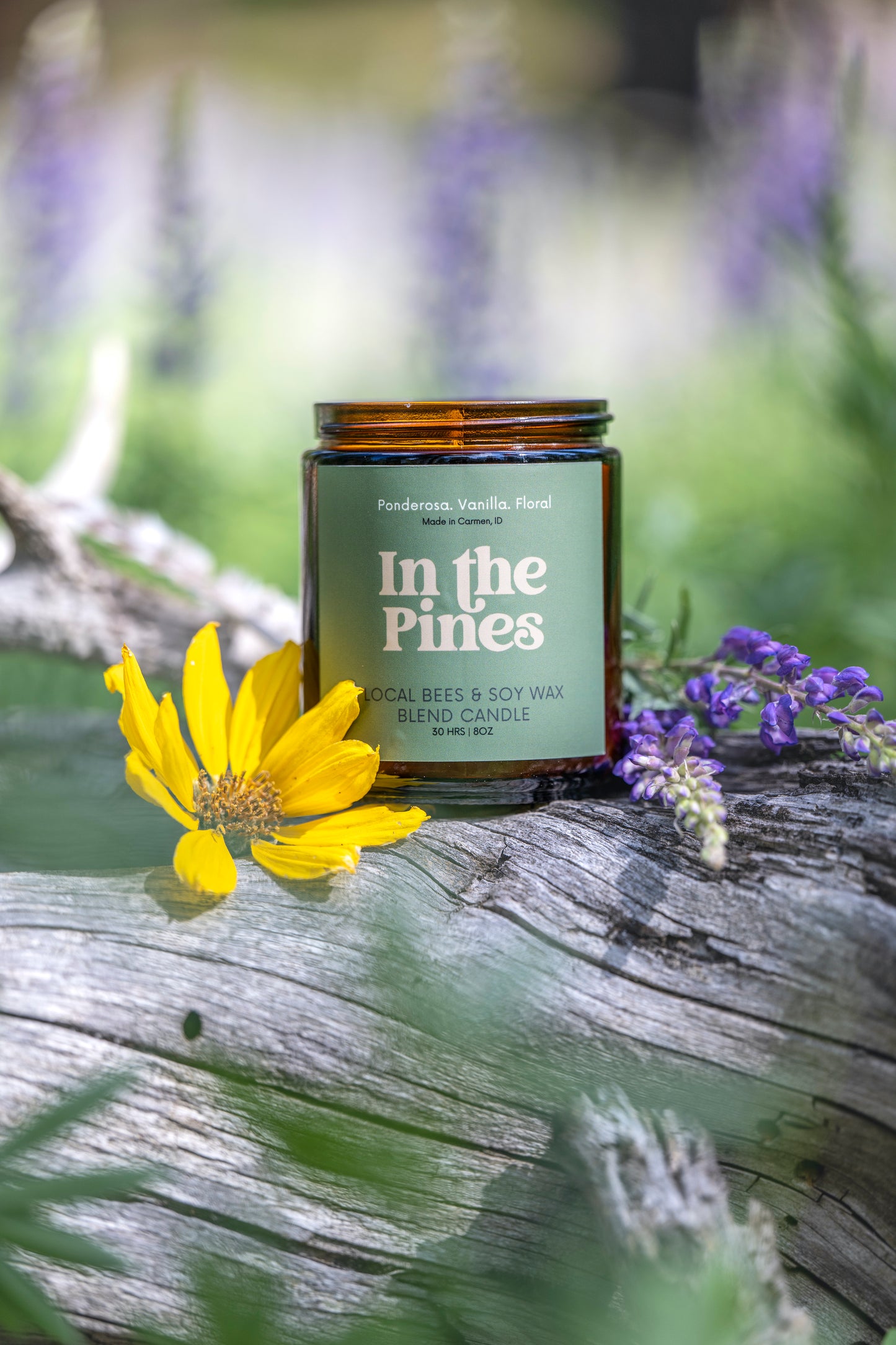 In the Pines