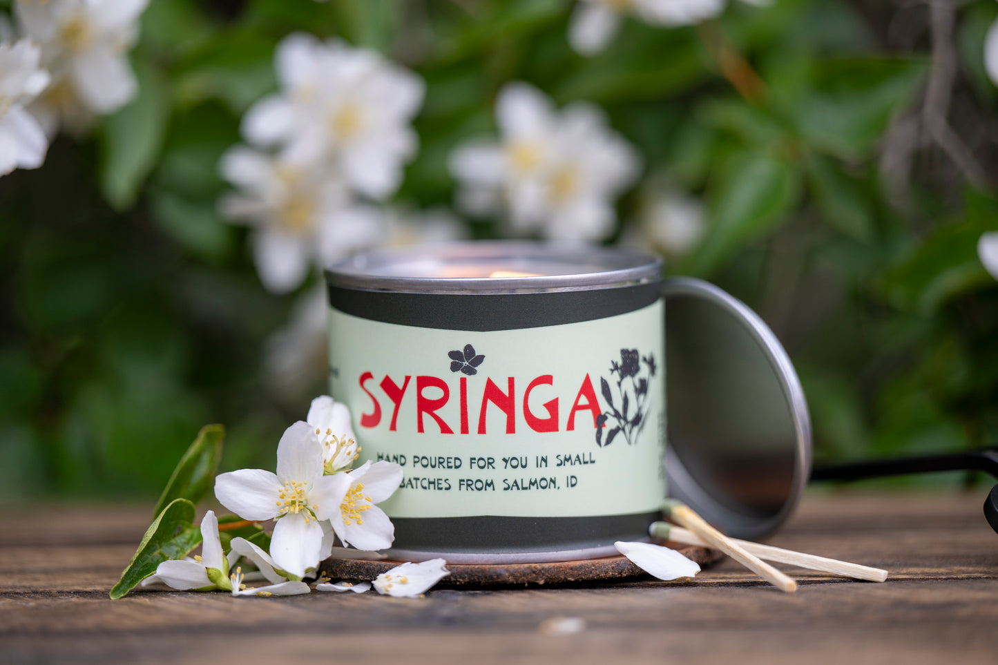 Syringa camp tin