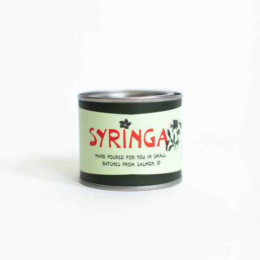 Syringa camp tin